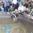 거북이PC 이미지