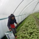 한울타리농장 이미지