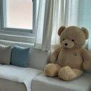 어,달달하리 이미지