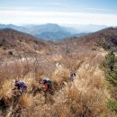 고요한 숲 이미지