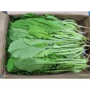 자연대로4 이미지