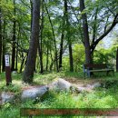 대교그린카부분정비 | 숨은 보석 같은 영광 염산면 봉덕산 등산 후기 feat. 육산의 매력과 환상적인 조망
