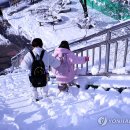 강릉유치원 이미지