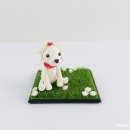 기억할개 이미지