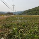 정안IC(공주)