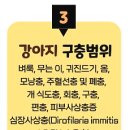 (주)제이에스케이 이미지