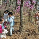 아이들세상어린이집 이미지