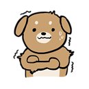 퀸펫살롱 이미지