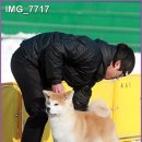 용마제일 이미지