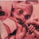 추락한 UFO에서 발견된 아기 외계인 이미지