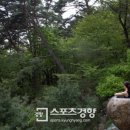 스파존 스포츠경향