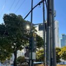 이시스 | [결혼준비] 포마이시스 부산 후기 및 가격, 부산 가성비 본식 드레스 추천