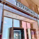 티파니(TIFFANY) | [TIFFANY&amp;Co] 고현정반지로 유명한 티파니T 트루네로우링 내돈내산 구매후기