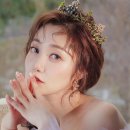 세라 이미지