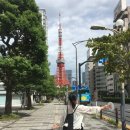 마타아시타 이미지