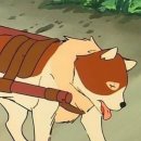 파트라슈 이미지