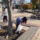 (학교)남산초 이미지