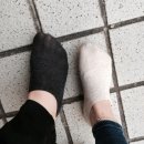 공룡발통 이미지