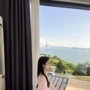 남해벚꽃길지나서 이미지