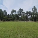 창조가든 | 1-4. 서울시 공공예식장 후기/더아름다운결혼식/계약후기/어린이대공원 포시즌가든 웨딩