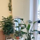 수진헤어샵 이미지