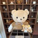 쎄라비 | 강릉 교동택지 카페 "쎄라비"내돈내산 방문후기