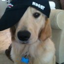 사랑해요치과의원 | 20251018