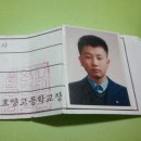 맹수남 Daum카페