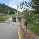 아신역길 이미지