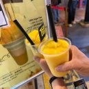 케이팝레지던스 | 🇲🇾말라카 3박4일 너무 길었을까? 직접 가보고 느낀 현실 후기/존커스트리트/트라이쇼