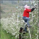 덕현농장 이미지