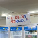 돌고래마차 - 3871 | 🐬 오산 돌고래마차 다녀온 후기