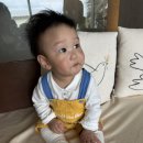 표선리-7 | 제주 서귀포 표선 대형카페 젠타일스 아기랑 방문
