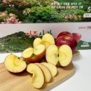 밤실농장 이미지