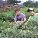 희준농장 이미지