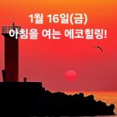 아침을 여는 건강한 에코힐링(글 전체보기는 글<b>주소</b> 클릭!)