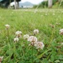 금사역 3번출구 이미지