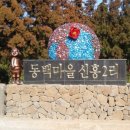 제주도흑돼지 네이버블로그