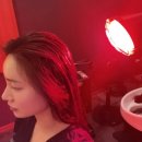 롯데백화점광복 제8관 | 광복롯데백화점 해솔두피클리닉 에서 두피관리 받았는데 머릿결까지 좋아진 후기