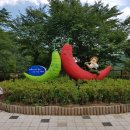 정곡사 | 100명산 20좌....(청양) 칠갑산 ; 청장호출렁다리~칠갑산 정상~칠갑광장~칠갑주차장 7.9km 3시간