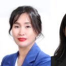 세무법인솔영종지사
