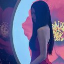 수지 - 보성군 | 수지