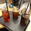 그래비즈 이미지