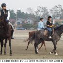 코리아 승마