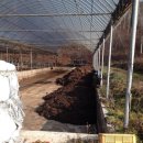 순영농장 이미지