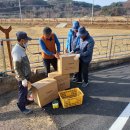 태성2리 Daum카페