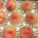 광인농장 이미지