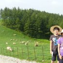 현우목장 이미지