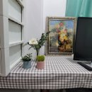 상록스테이 이미지