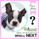 강남패션 이미지